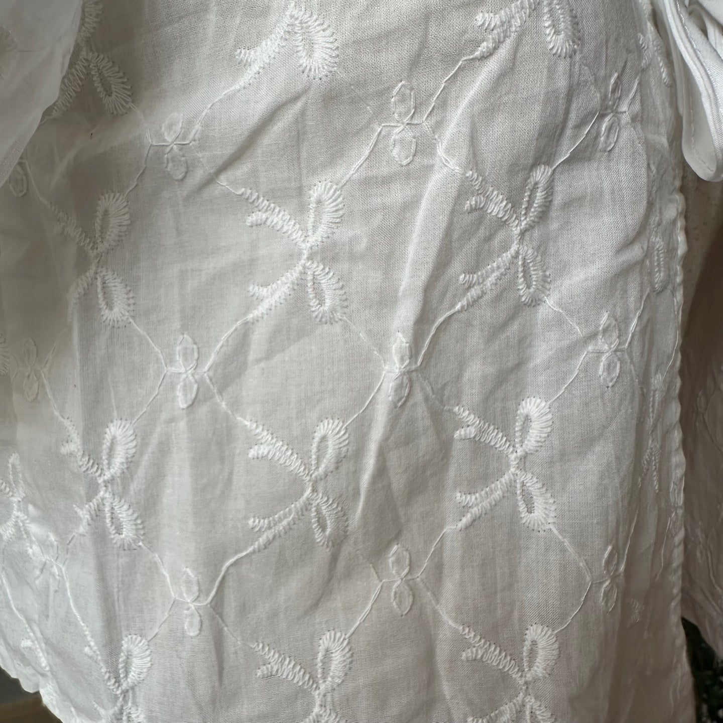 Sheer Tie Front Puff Sleeve Blouse with Bow Print