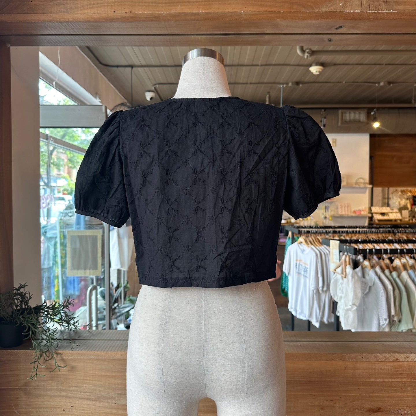 Sheer Tie Front Puff Sleeve Blouse with Bow Print