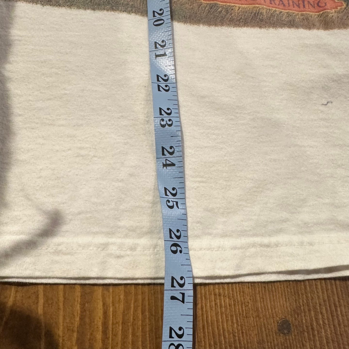 Vintage MLB Cactus League Spring Training T-Shirt