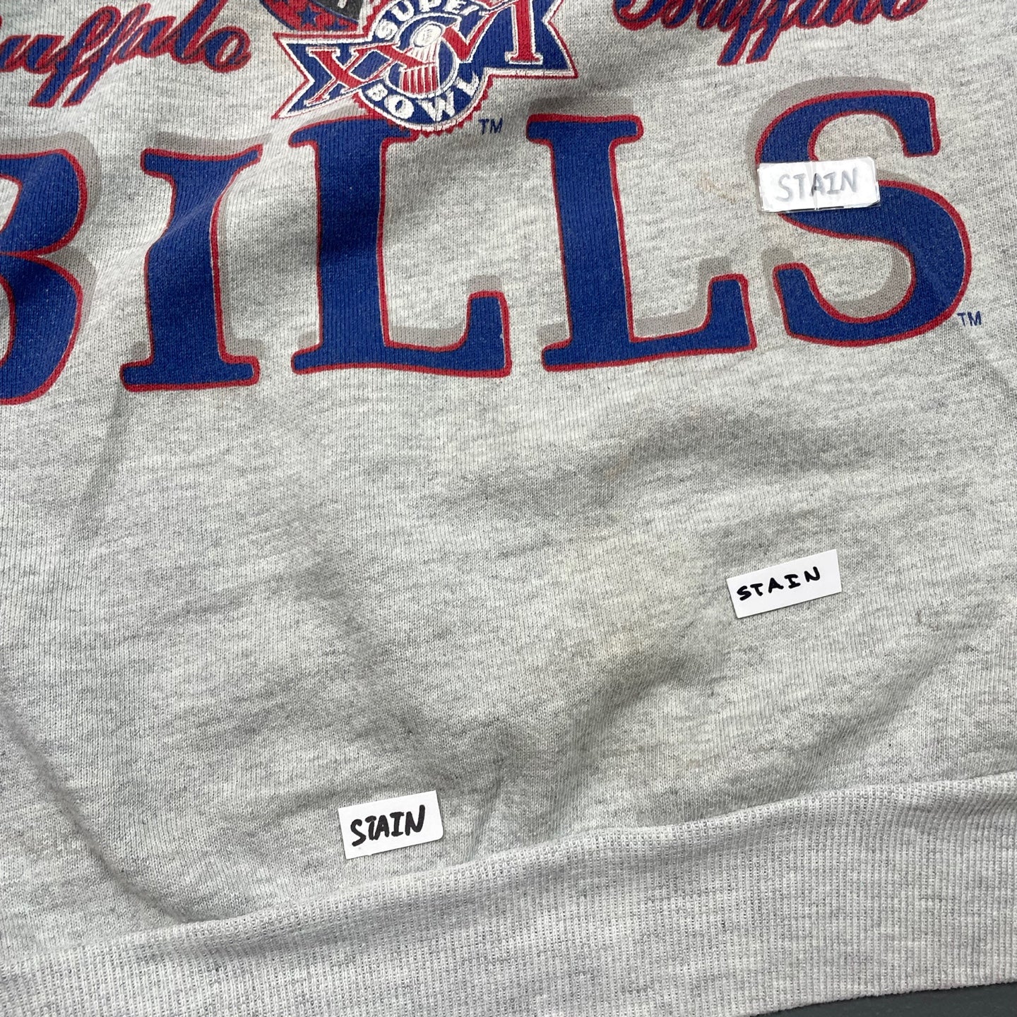 Vintage 1991 Buffalo Bills AFC Division Champions Sweatshirt
