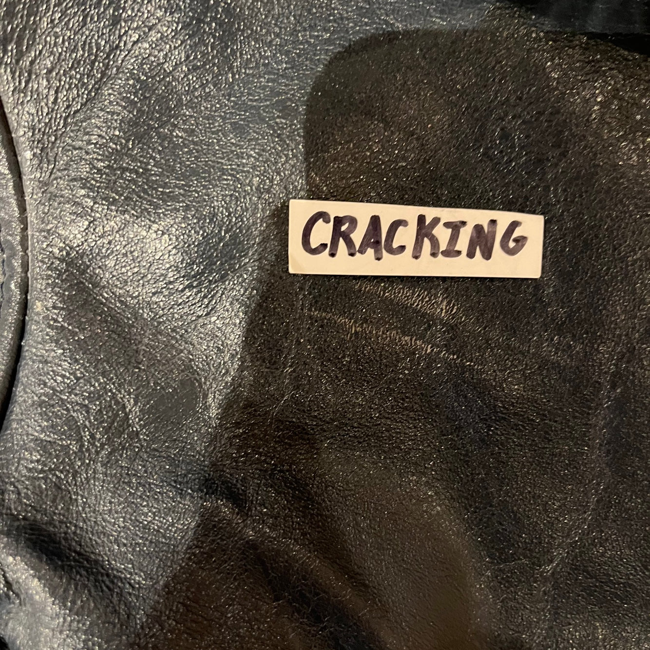 Vintage University of Waterloo Leather Jacket