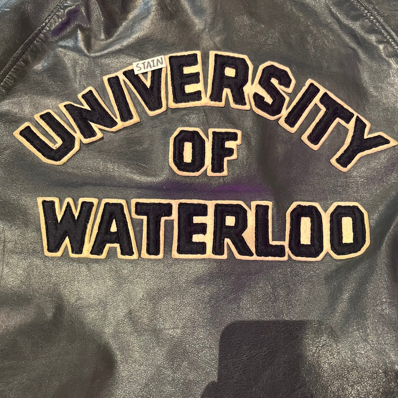 Vintage University of Waterloo Leather Jacket