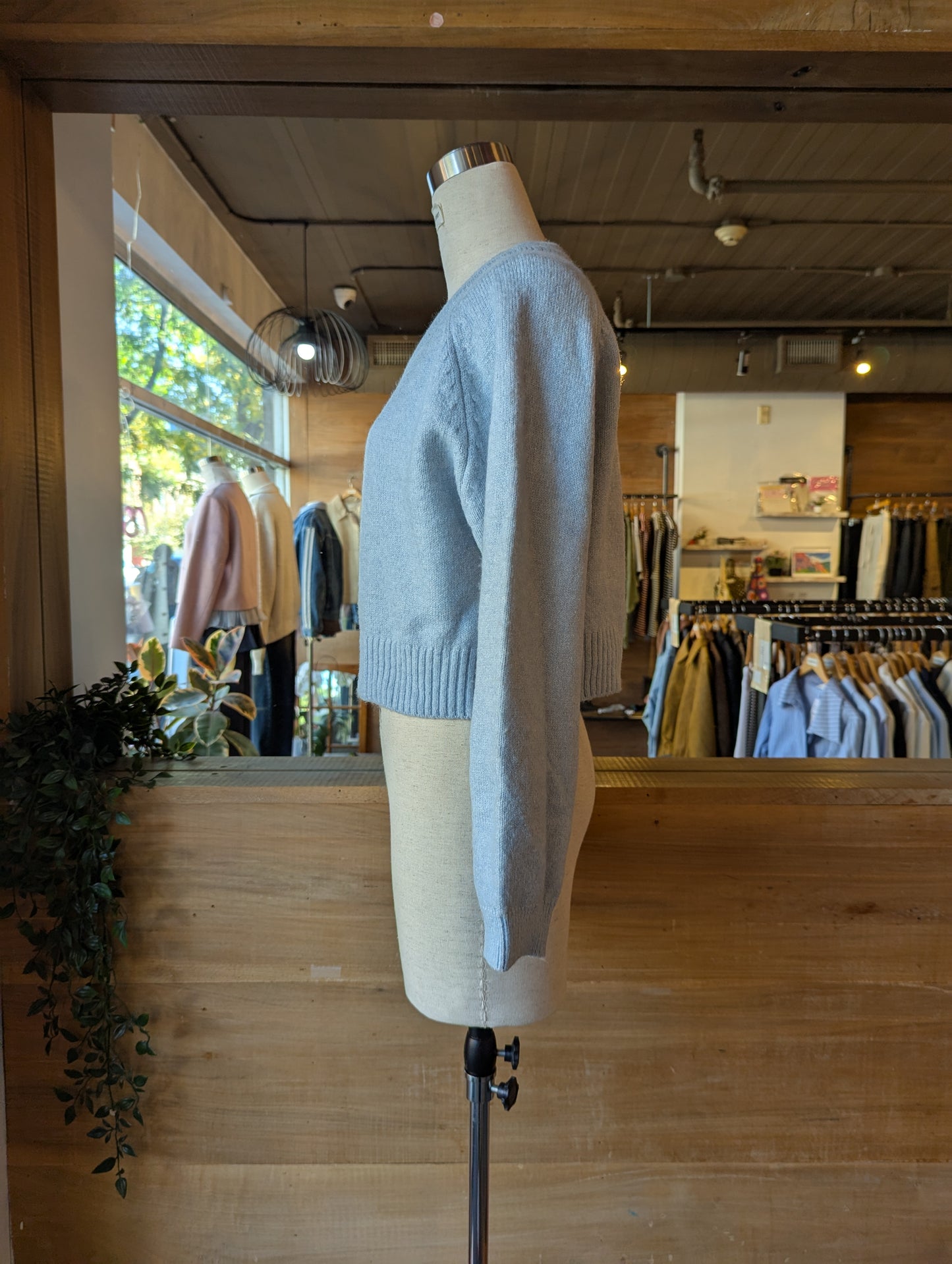 Cropped V-Neck Sweater