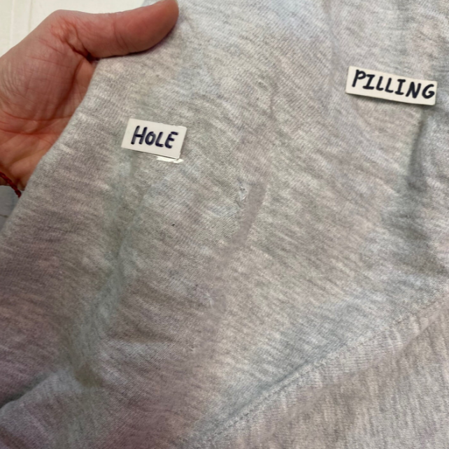 Vintage Champion Lock Haven University Reverse Weave Sweatshirt