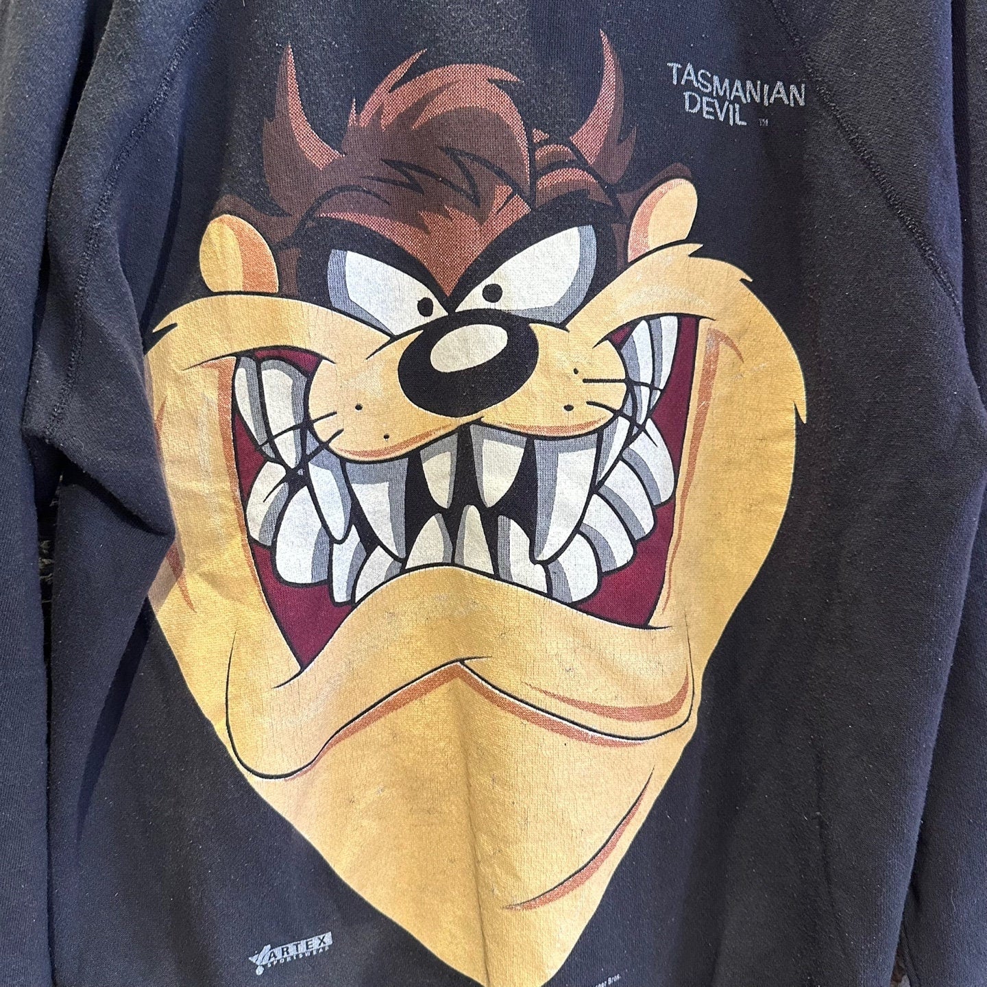 Vintage Warner Bros 'Taz' Looney Tunes Graphic Sweatshirt
