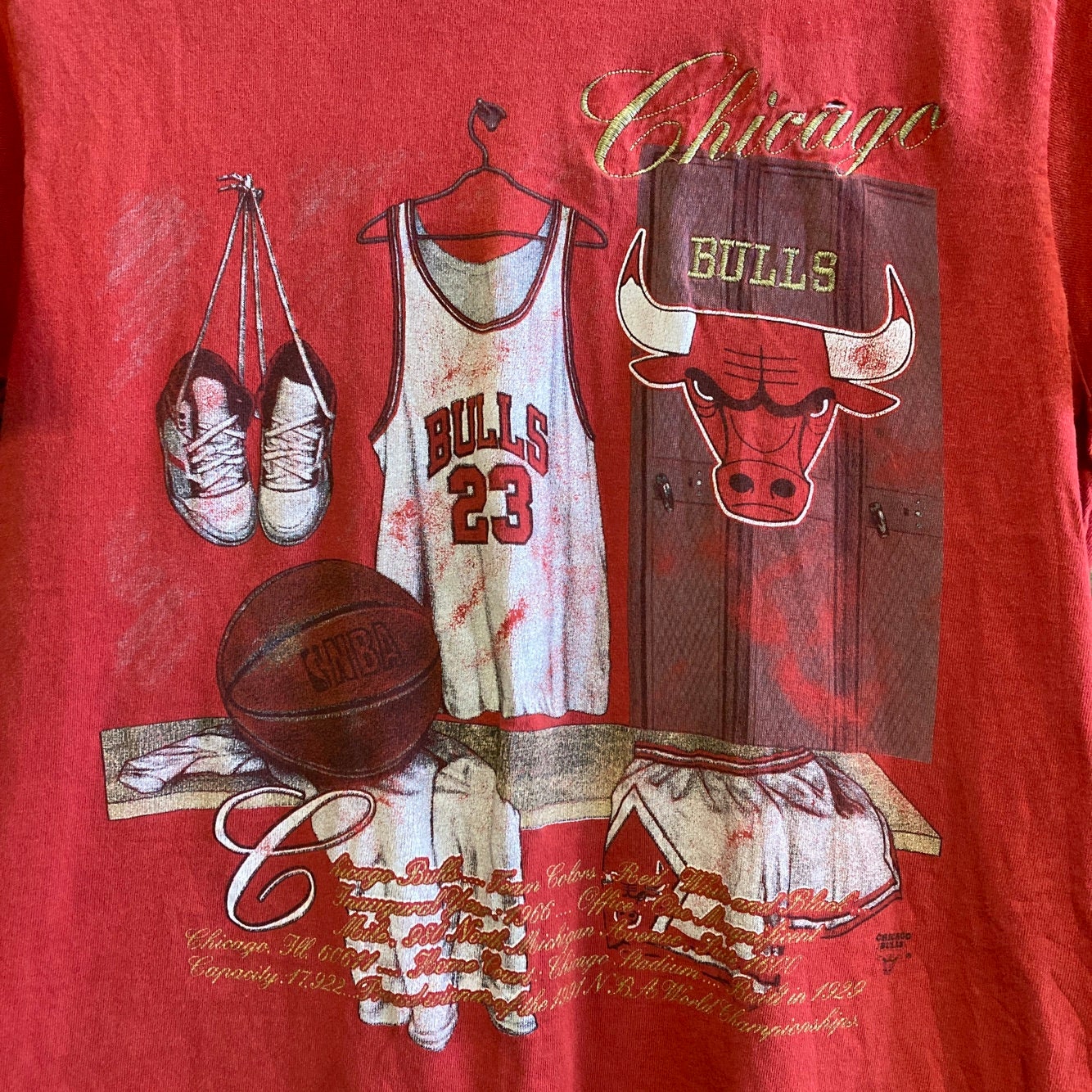 Vintage Chicago Bulls Lover Room Red Graphic T-shirt | Vintage T-shirt | NBA | Nutmeg | Cursive Embroidery | Men's Size S | SKU: NPQ-2094