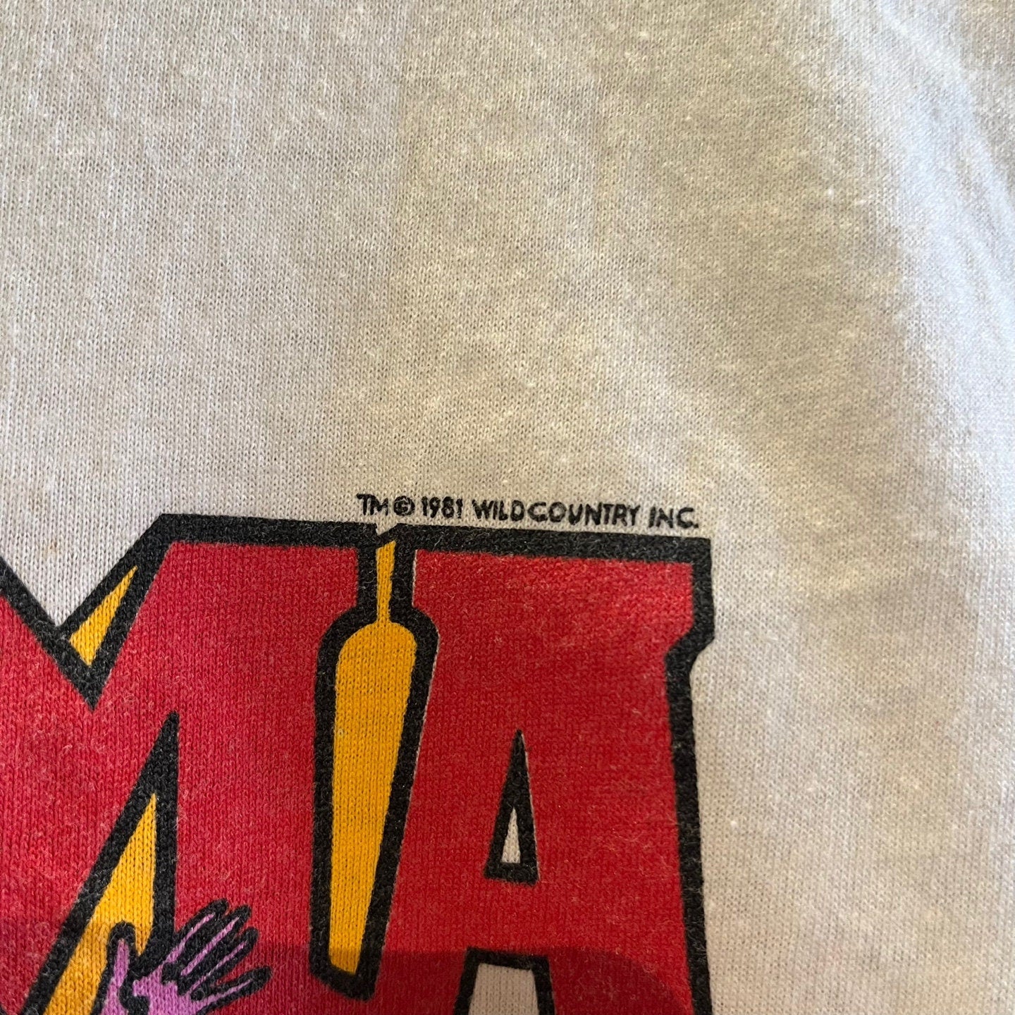 Vintage 1986 Alabama "The Fans Tour" T-Shirt | Vintage Country Music Tee | Vintage Band Tee | 80s Graphic Tee | Size L | SKU: STQ-3344