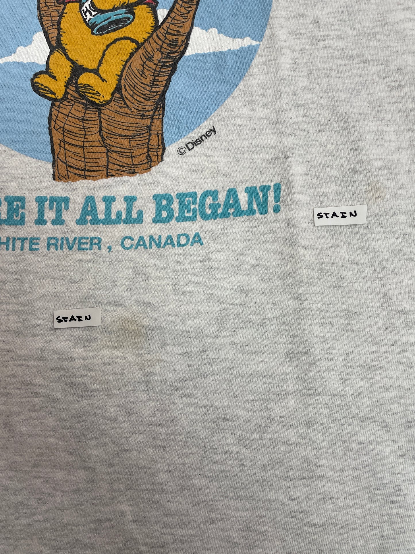 Vintage Winnie the Pooh "Where It All Started..." Graphic T-Shirt