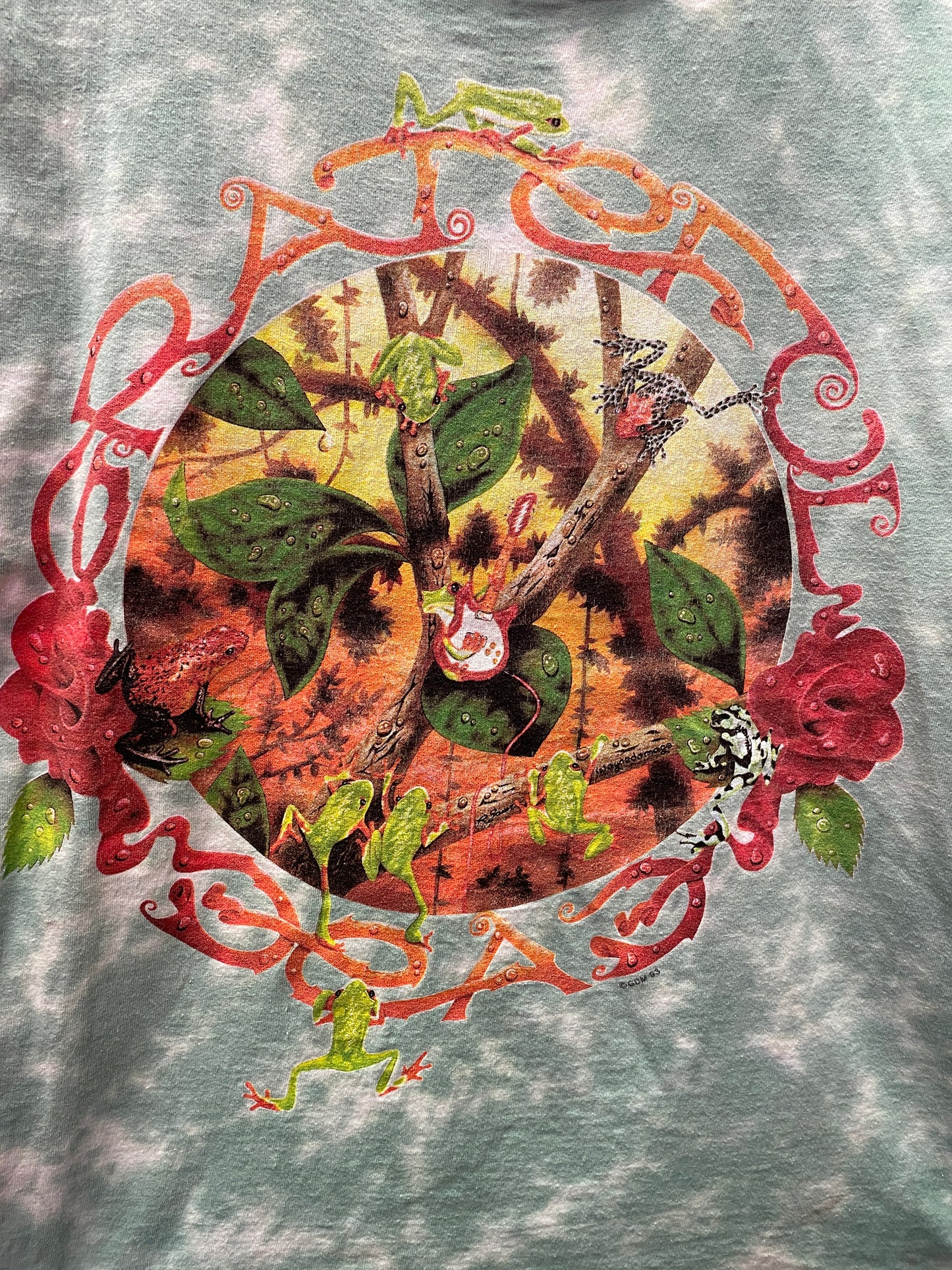 Vintage Grateful Dead Treefrog Tie-Dye Graphic T-Shirt