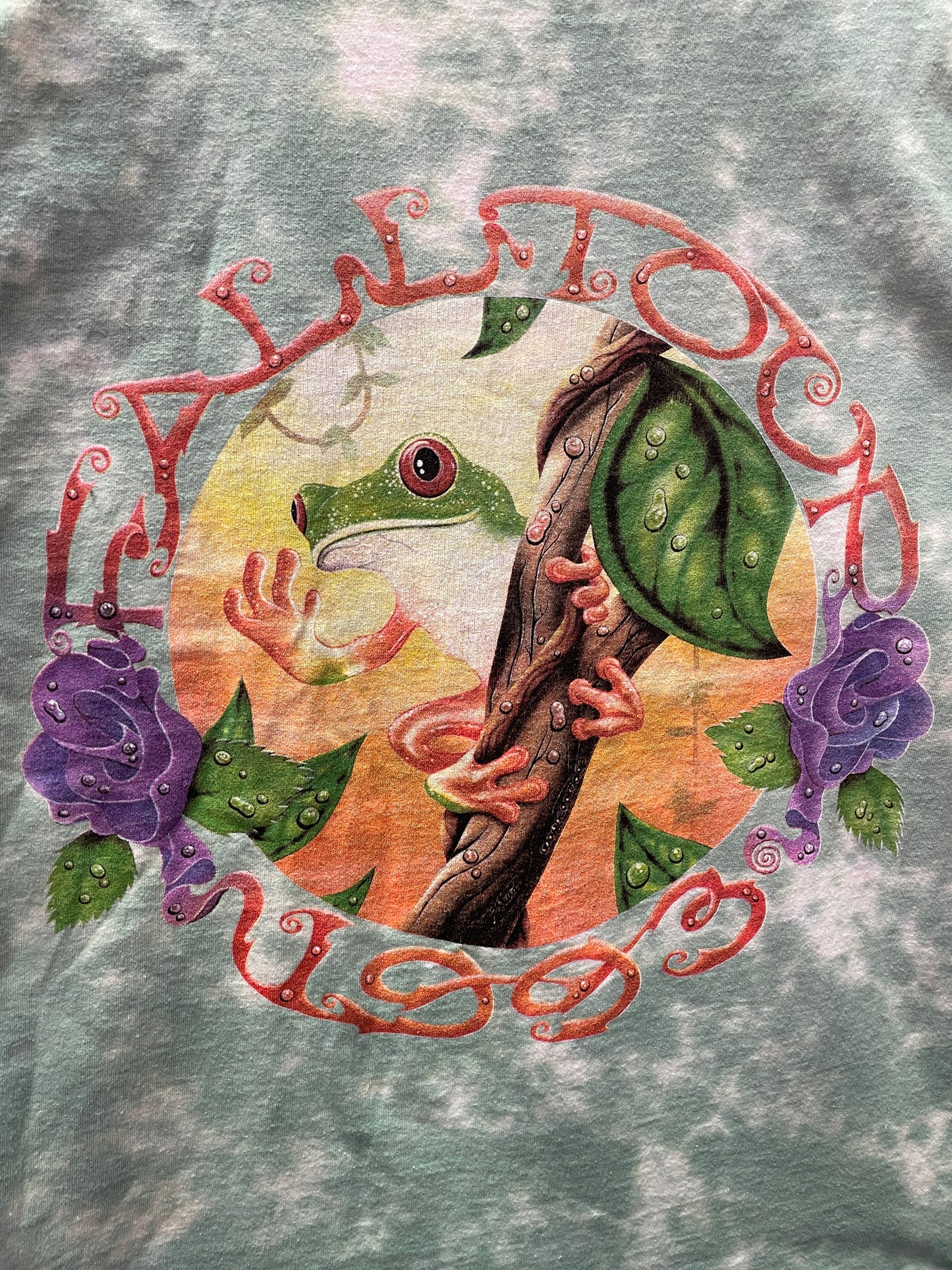 Vintage Grateful Dead Treefrog Tie-Dye Graphic T-Shirt