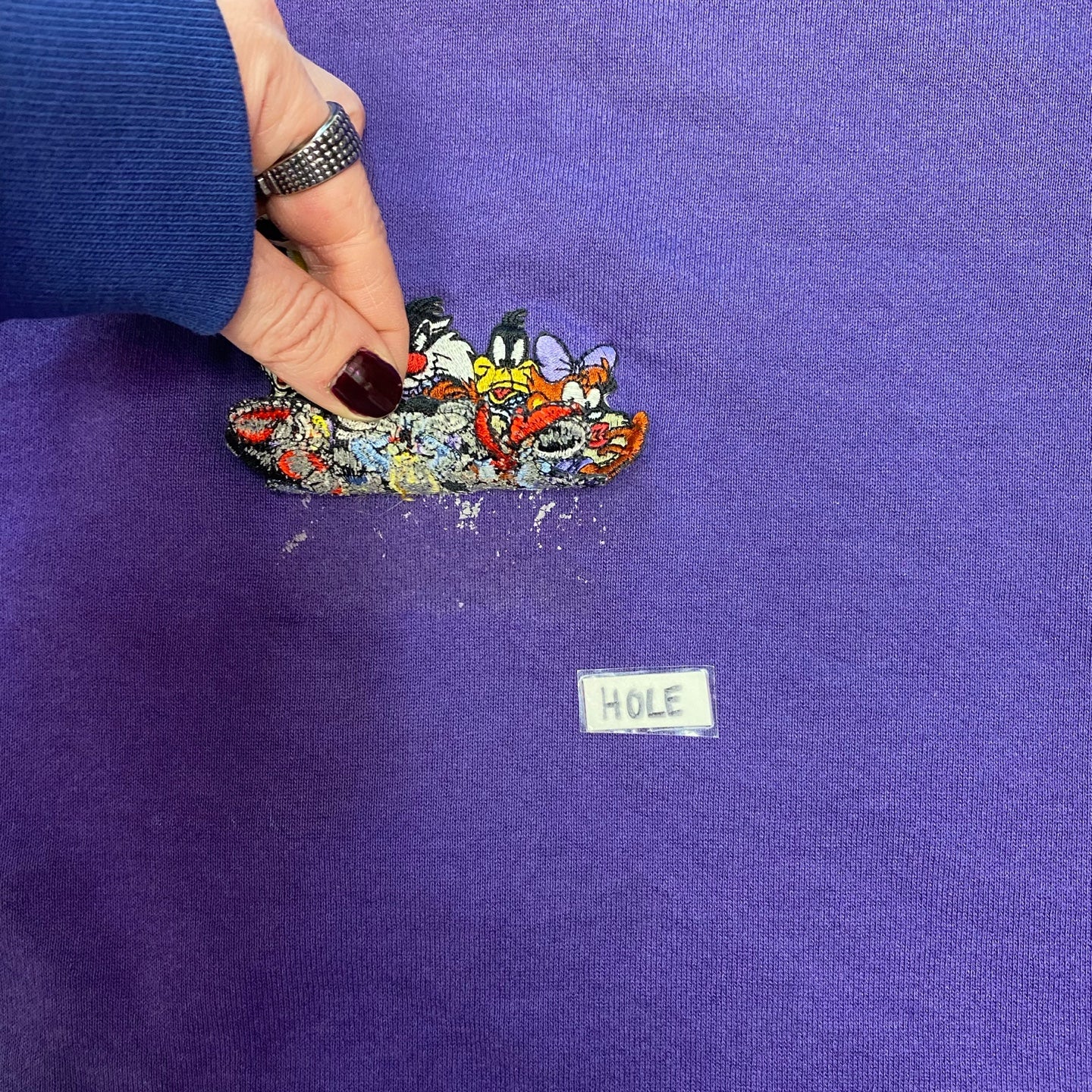 Vintage Royal Purple Looney Tunes Characters Sweatshirt