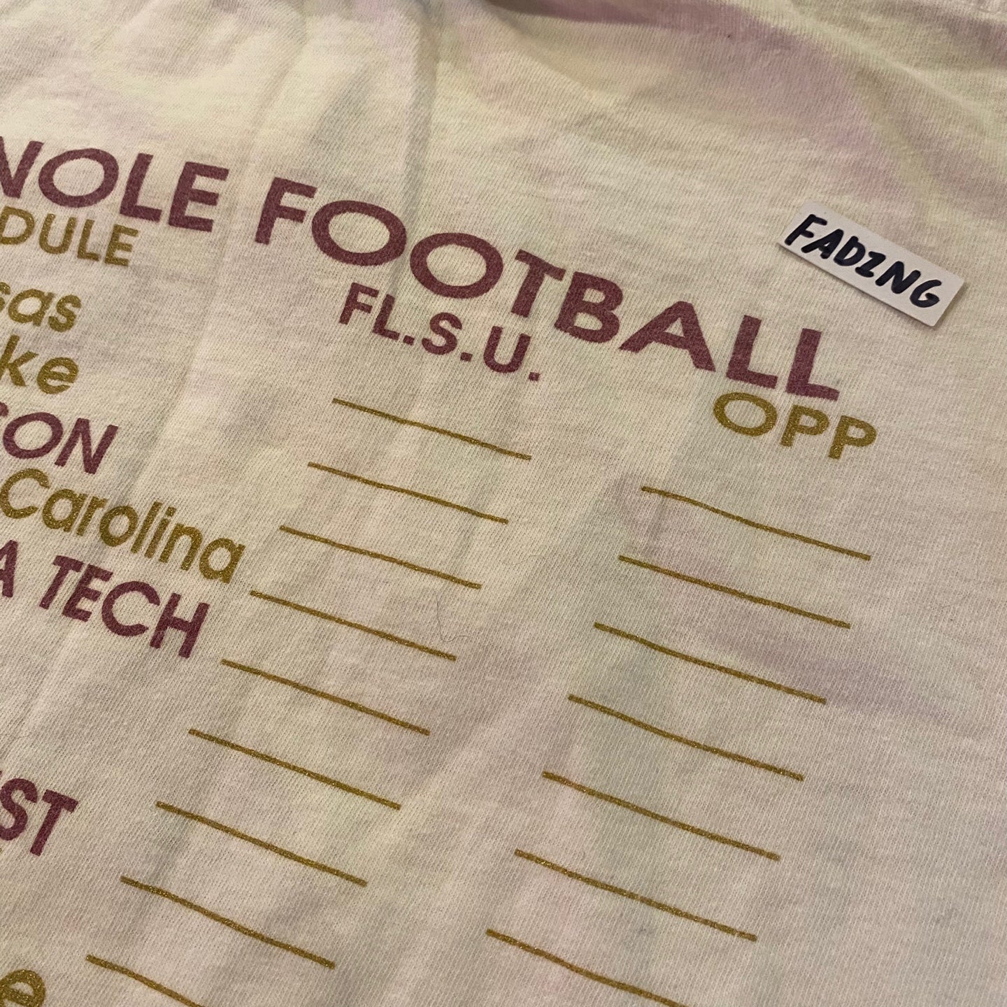 1993 Vintage Florida State Seminoles College Football T-shirt