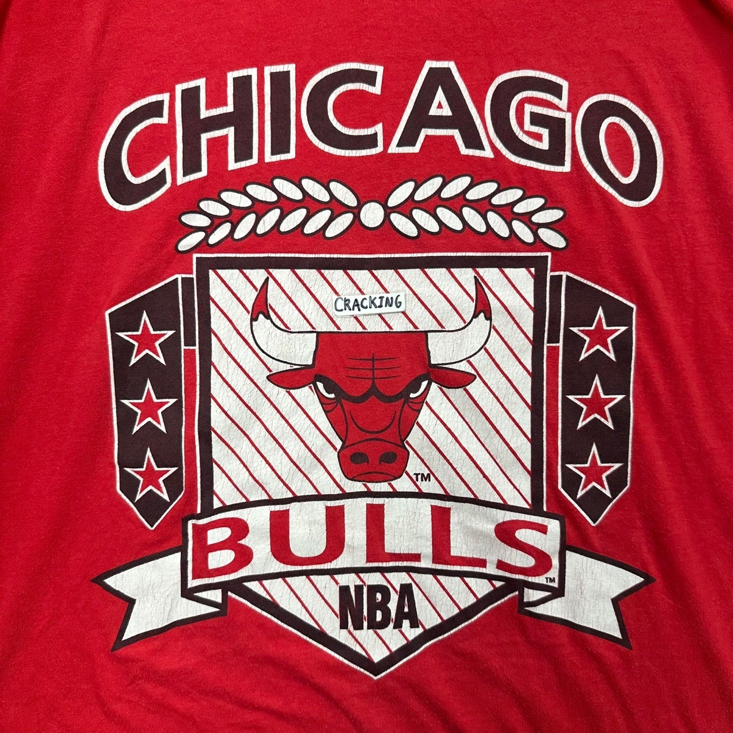 Vintage Chicago Bulls T-Shirt