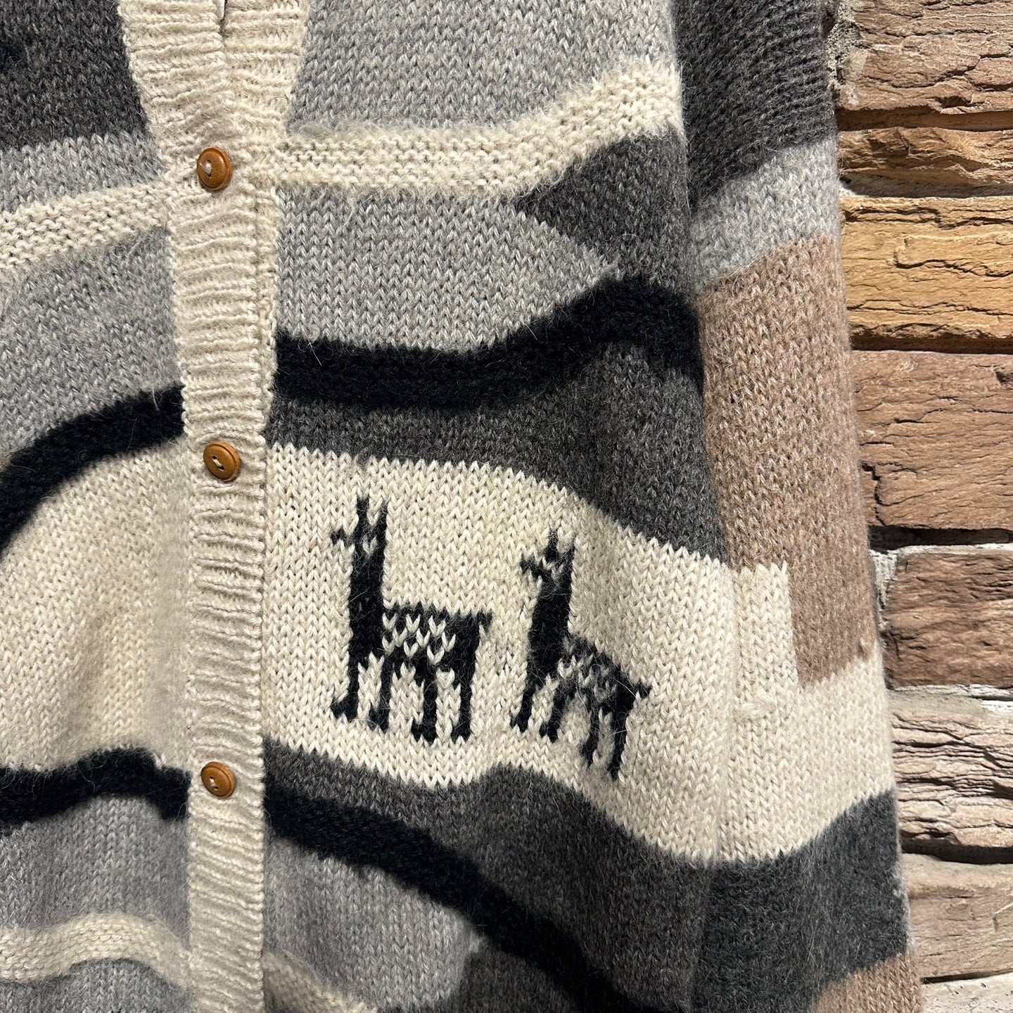 Vintage Knit Cardigan with Animal Graphic