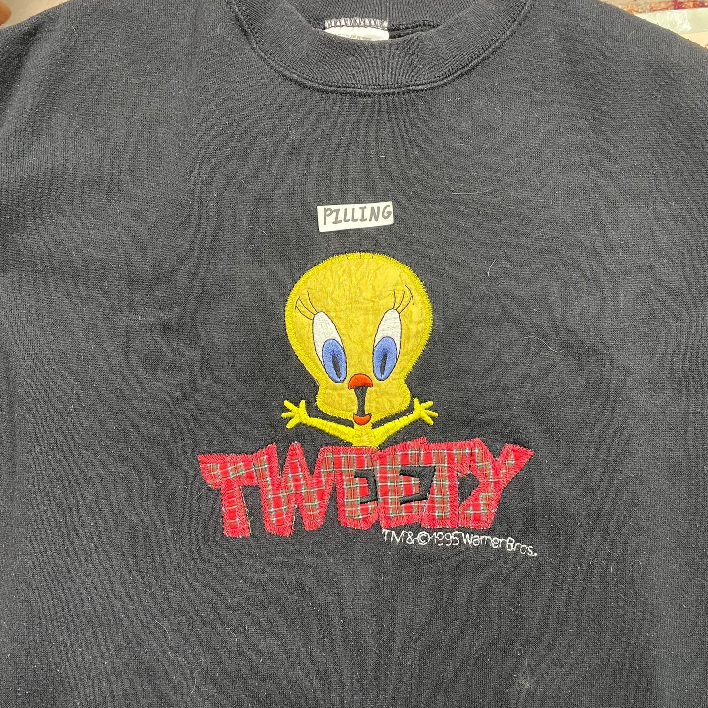 Vintage 1995 Tweety Bird Sweatshirt