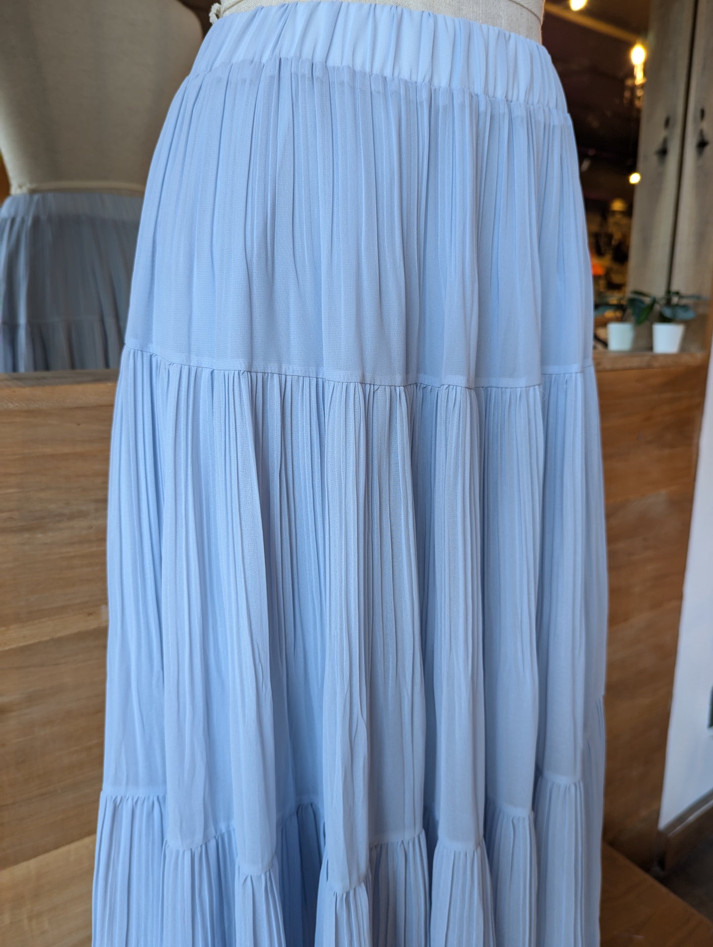 Pleated Panel Maxi Skirt