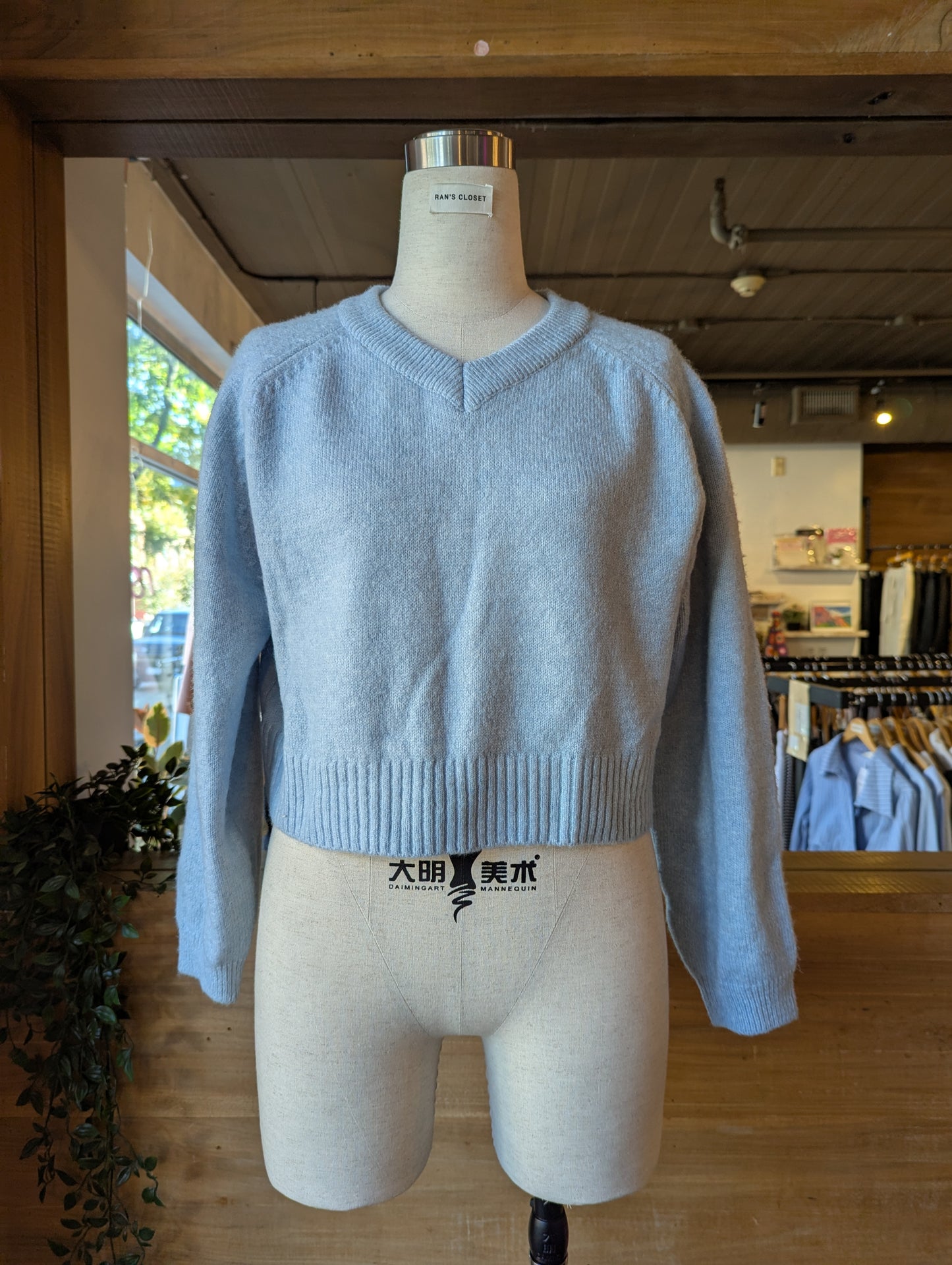 Cropped V-Neck Sweater