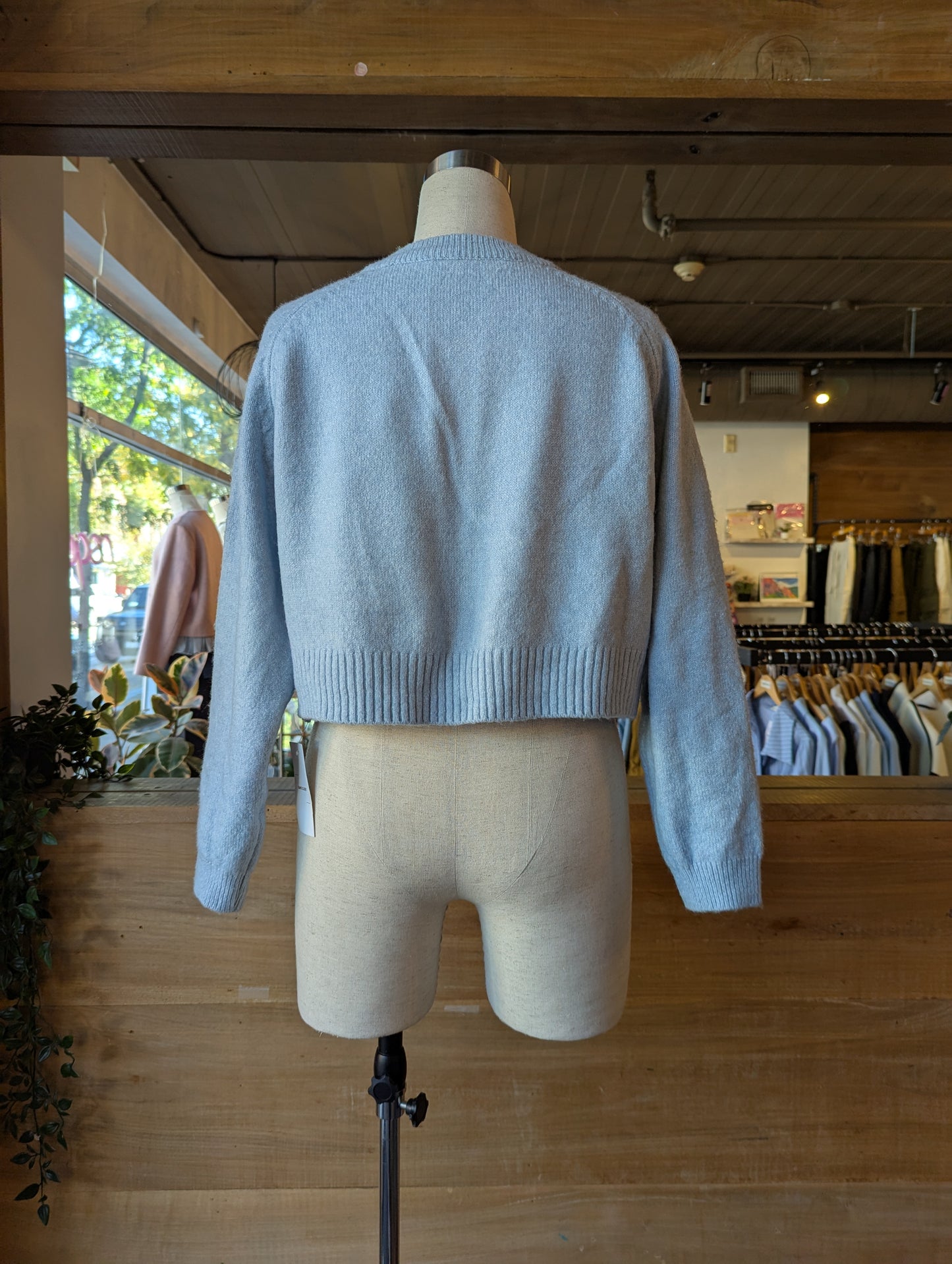 Cropped V-Neck Sweater