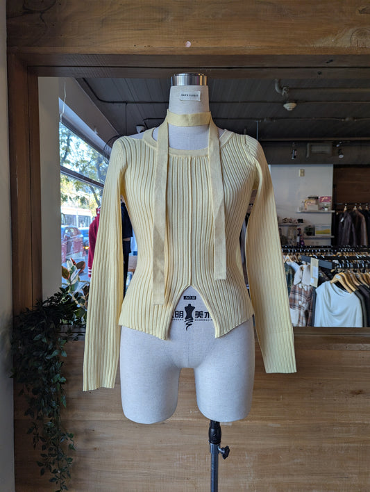 Ribbed Knit Top with Skinny Scarf