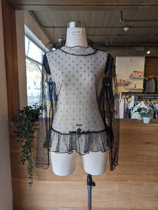 Sheer Muse Turtle Neck