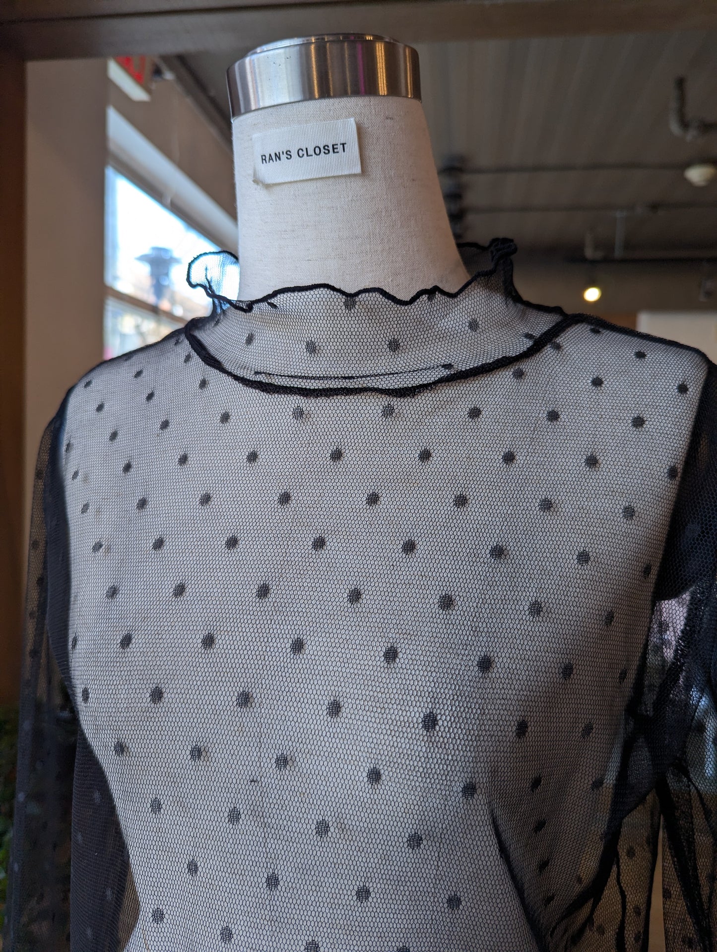 Sheer Muse Turtle Neck