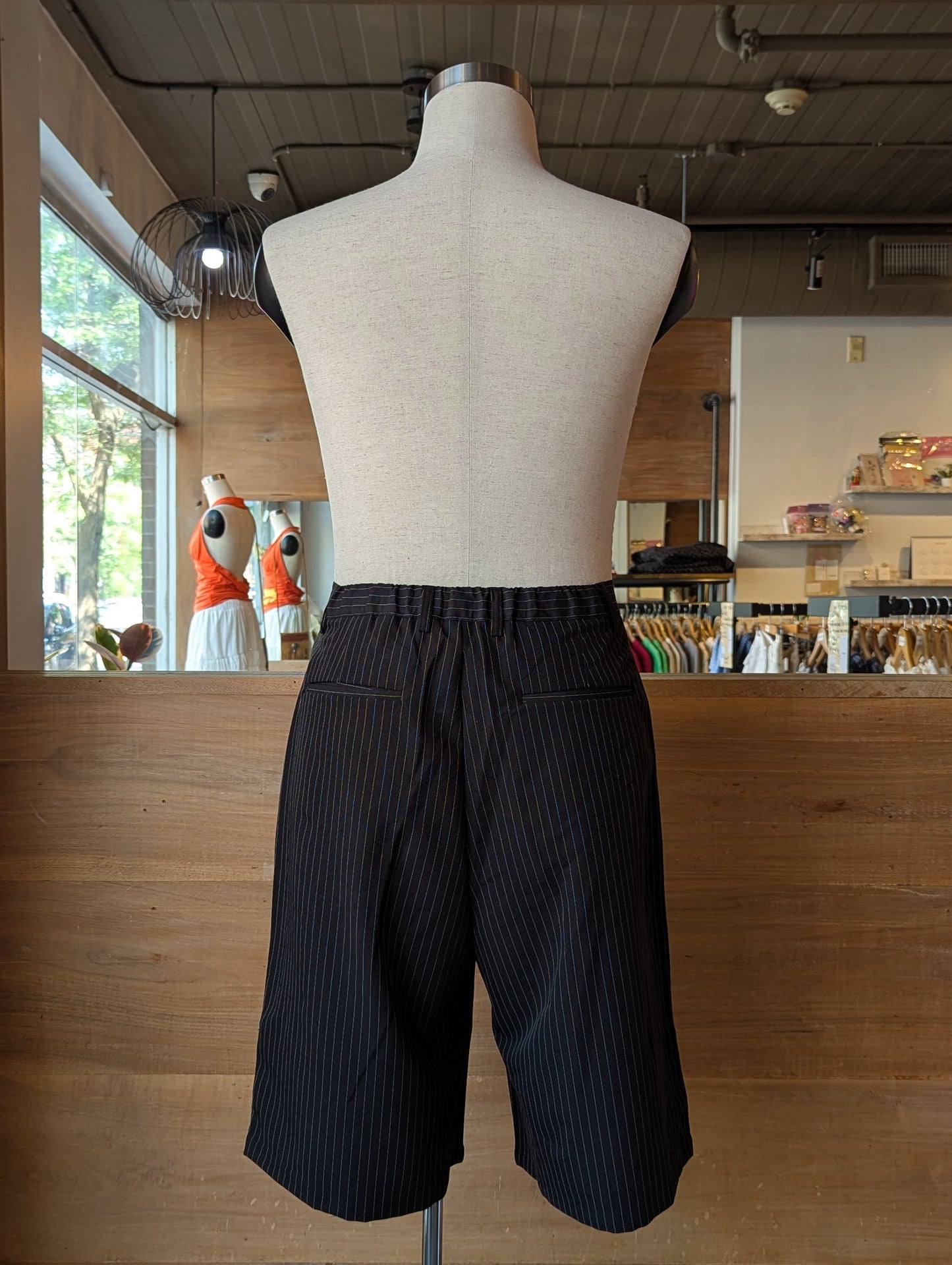 Stripe Standard Men's Shorts