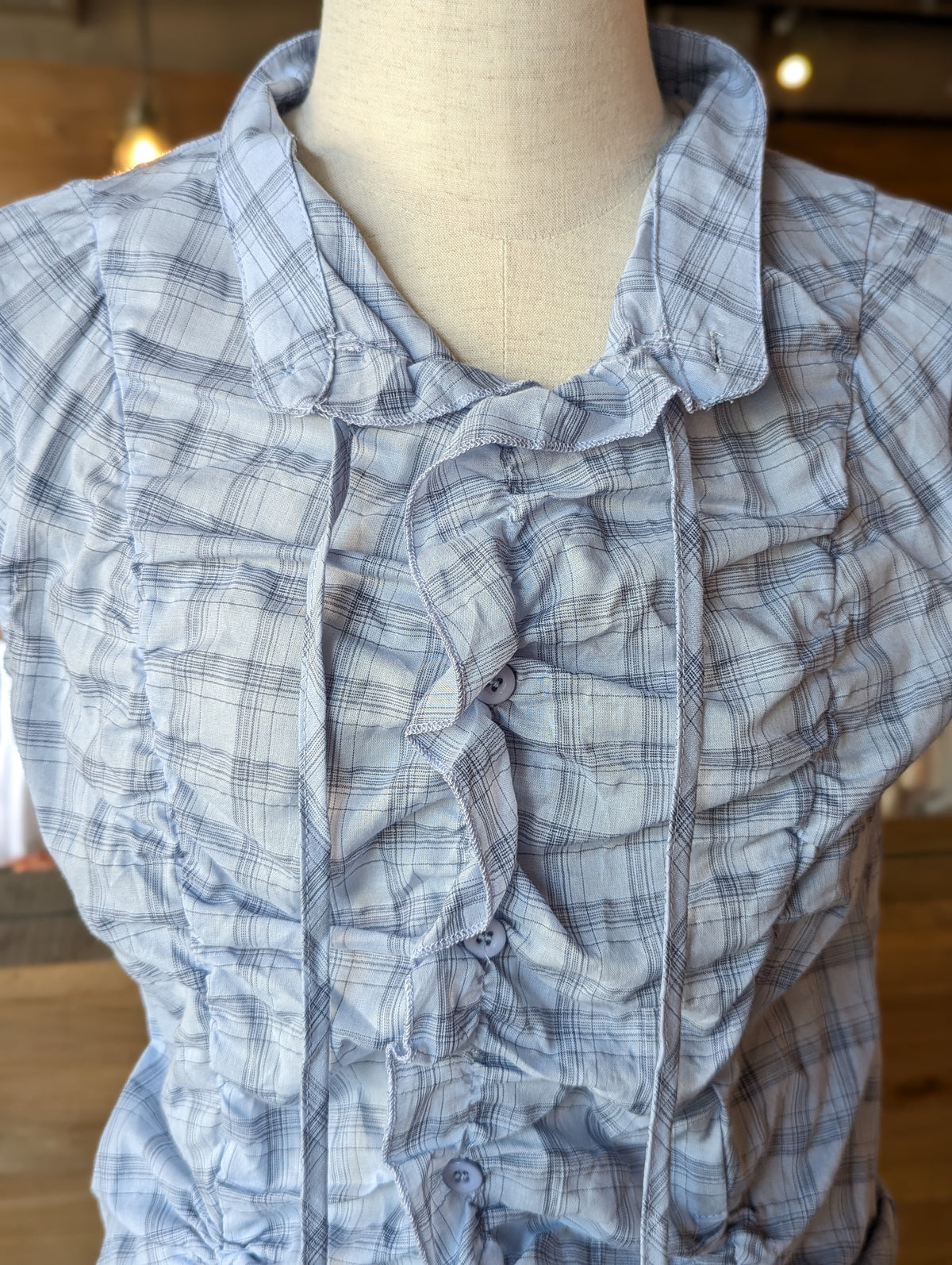 Skyline Plaid Cinch Tie-Neck Button Down Top