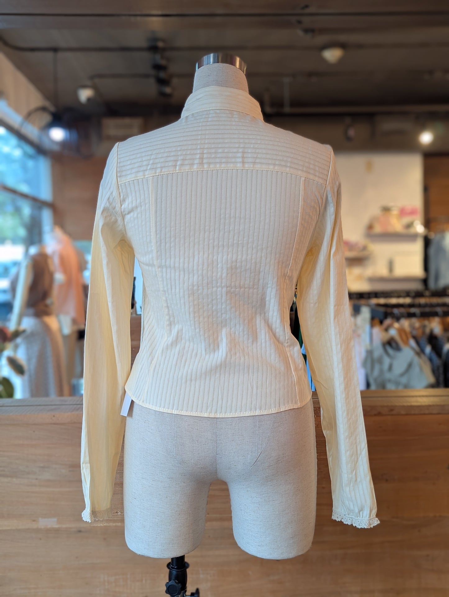 Lines and Lace Fitted Button Up Blouse