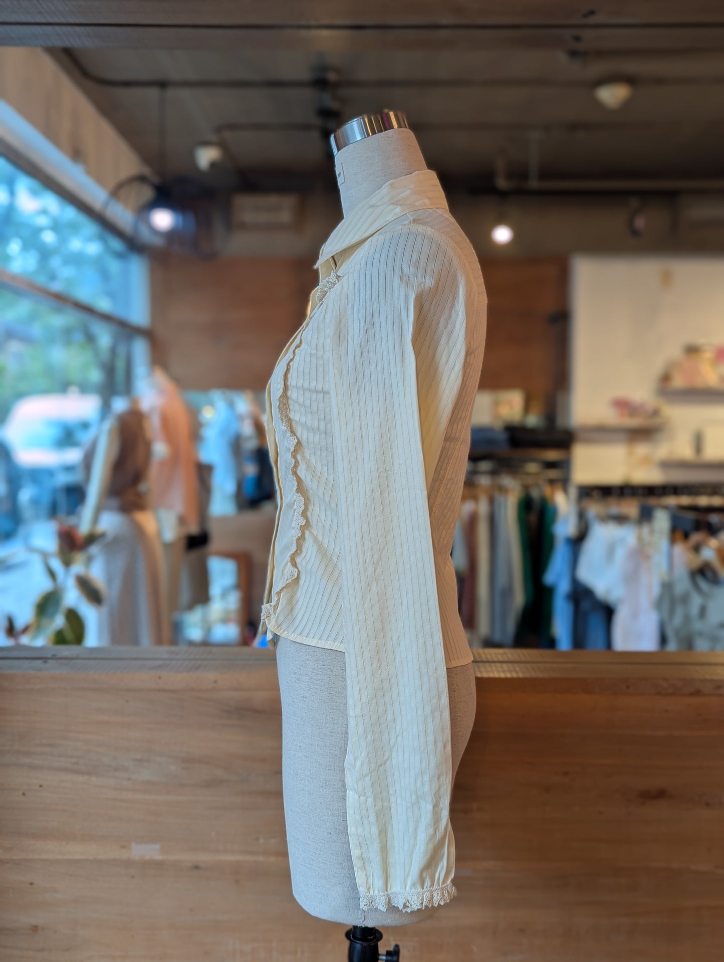 Lines and Lace Fitted Button Up Blouse