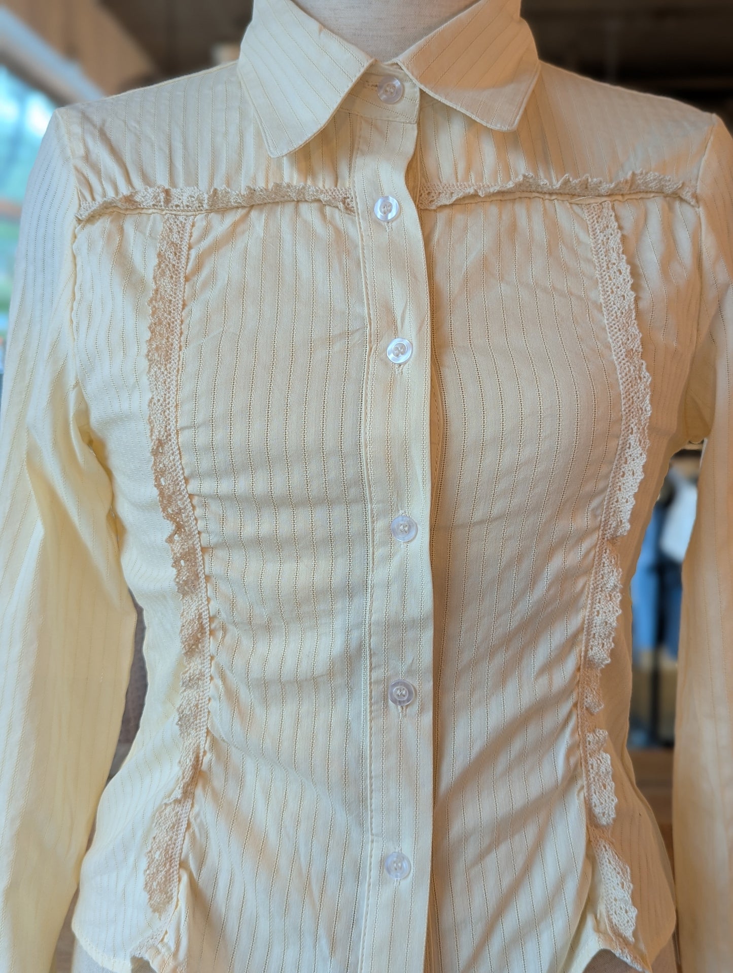 Lines and Lace Fitted Button Up Blouse