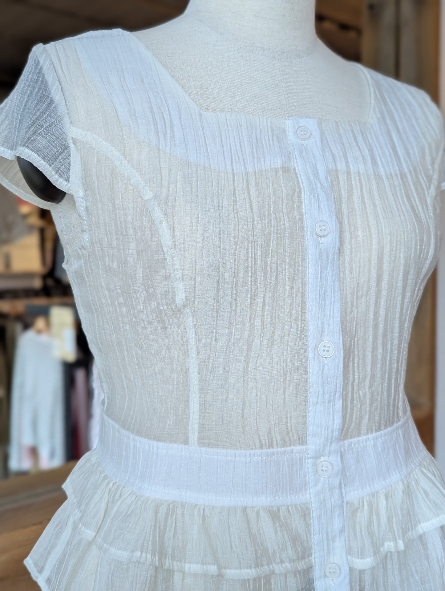 Celestial Sheer Peplum Blouse