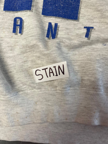 Vintage 1994 New York Giants Starter Sweatshirt