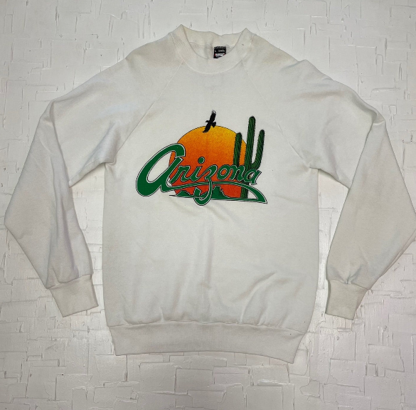 Vintage Arizona Souvenir Desert Graphic Sweatshirt