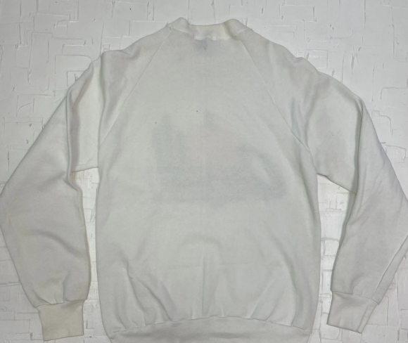 Vintage Arizona Souvenir Desert Graphic Sweatshirt