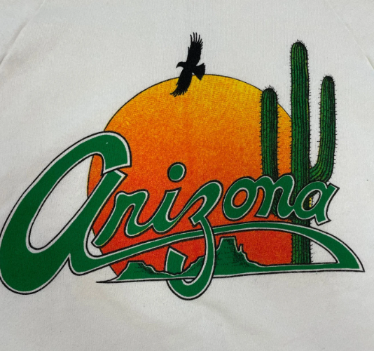 Vintage Arizona Souvenir Desert Graphic Sweatshirt
