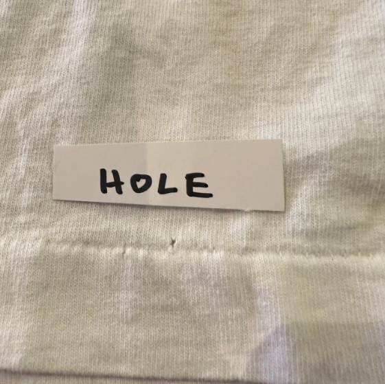 Vintage Heywood Banks "If Pigs Had Wings" World Tour T-shirt