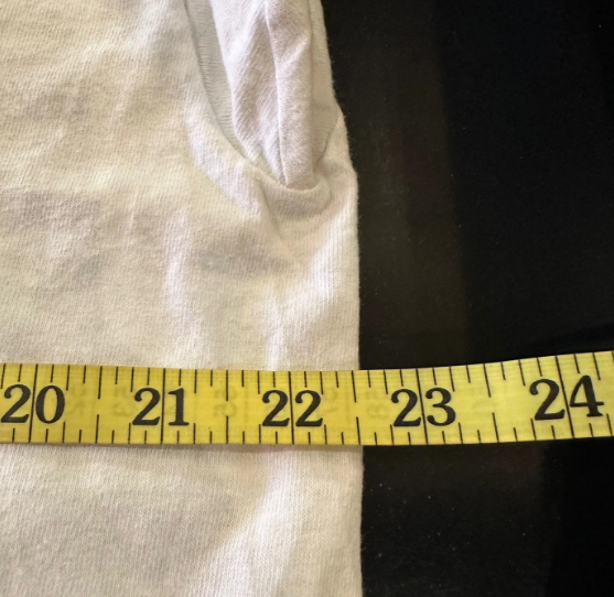 Vintage Heywood Banks "If Pigs Had Wings" World Tour T-shirt