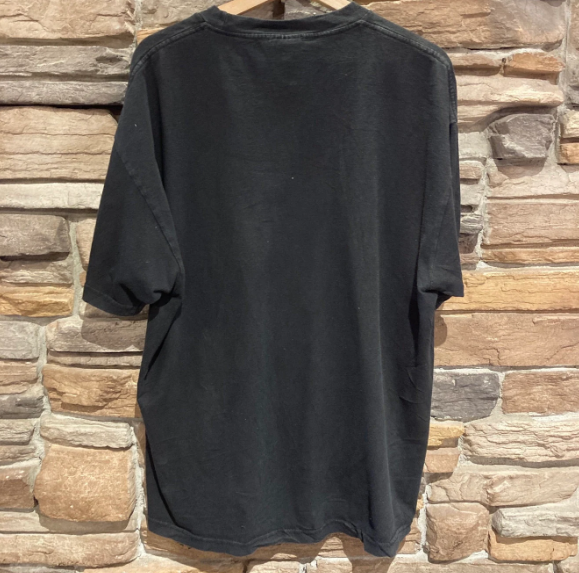 Vintage 1993 Smithsonian Institute Albert Einstein T-shirt