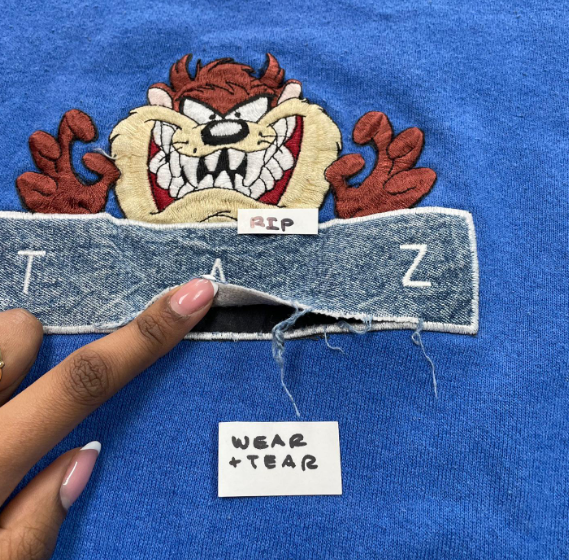 Vintage 'Taz' Tasmanian Devil Looney Tunes Sweatshirt
