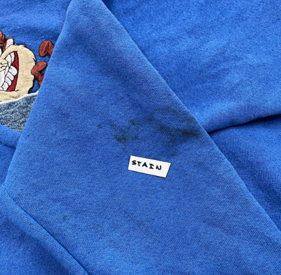 Vintage 'Taz' Tasmanian Devil Looney Tunes Sweatshirt