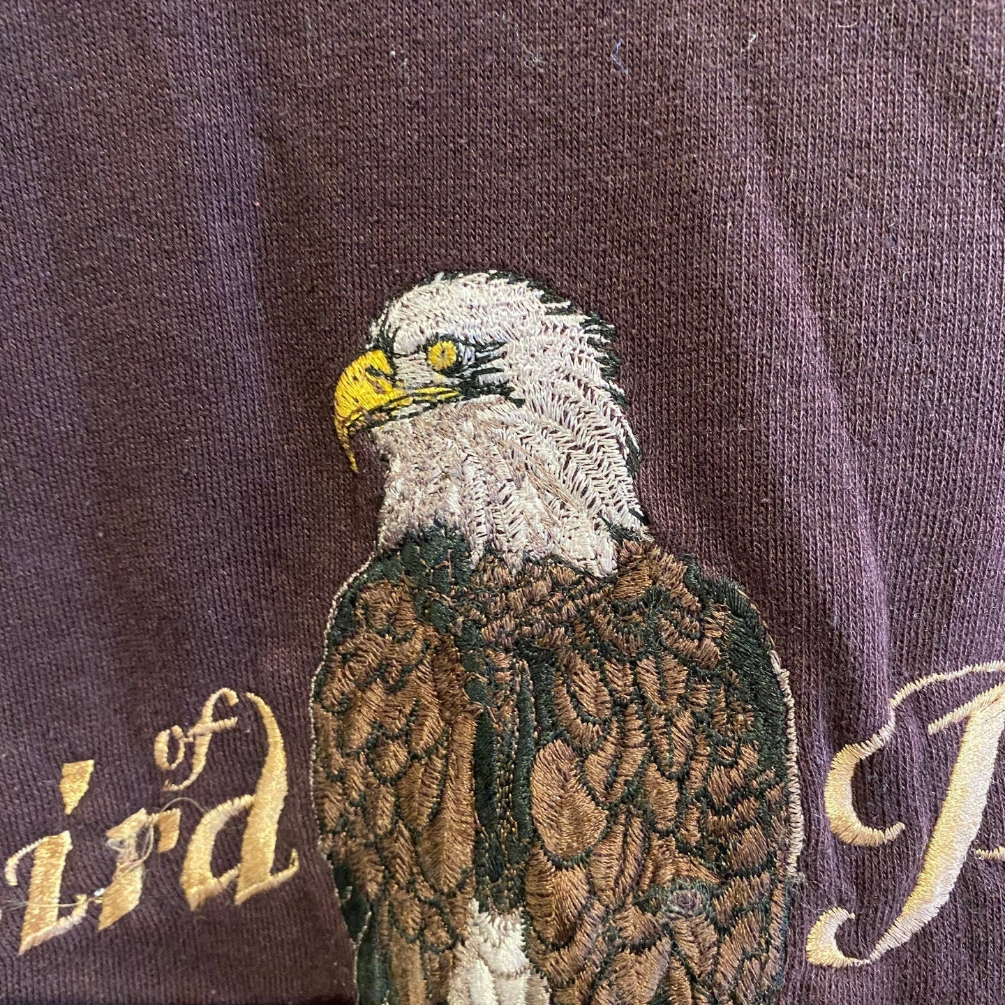 Vintage "Bird Of Prey" Dark Brown Sweatshirt with Eagle Embroidery | Vintage Pullover Sweatshirt | Headwaters | Men's Size M | SKU: NPQ-2021