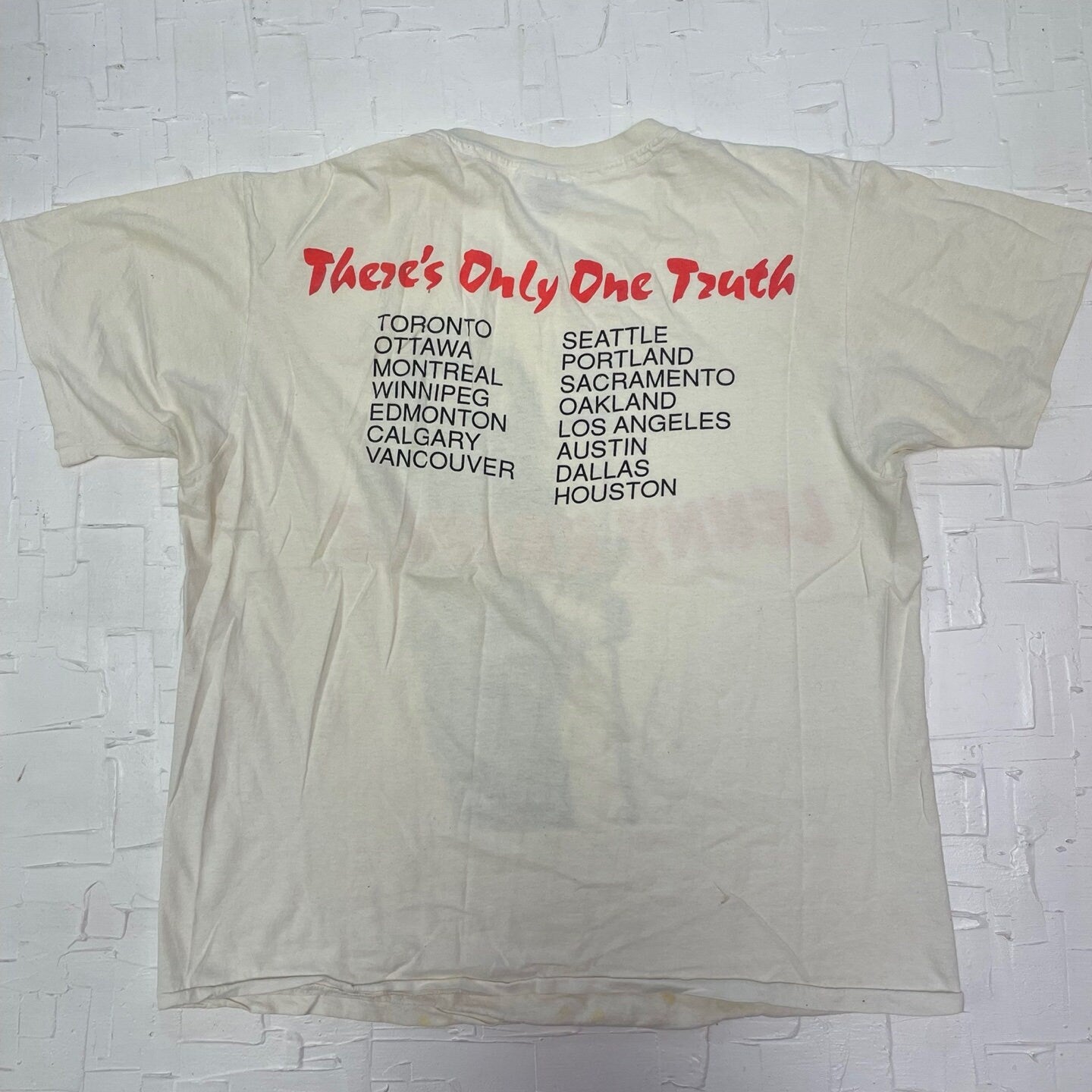 1991 Lenny Kravitz "There's Only One Truth" Tour T-Shirt | Vintage T-Shirt| Lenny Kravitz T-Shirt | Single Stitch | Size XL | SKU: M-1525